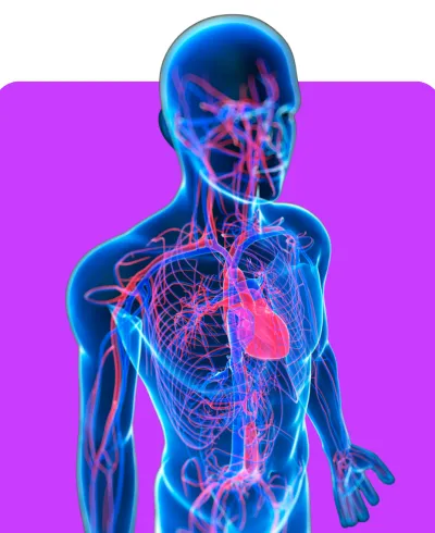 Premium Pulmonary
